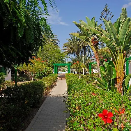 Lägenhet Cordial Sandy Golf Maspalomas (Gran Canaria)