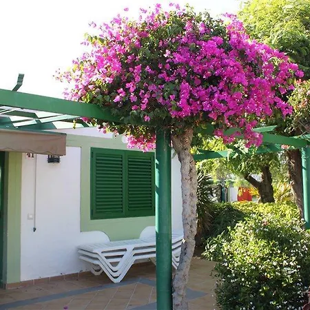 Cordial Sandy Golf *