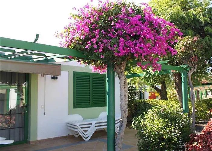 Cordial Sandy Golf *